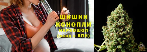 mdma Новозыбков